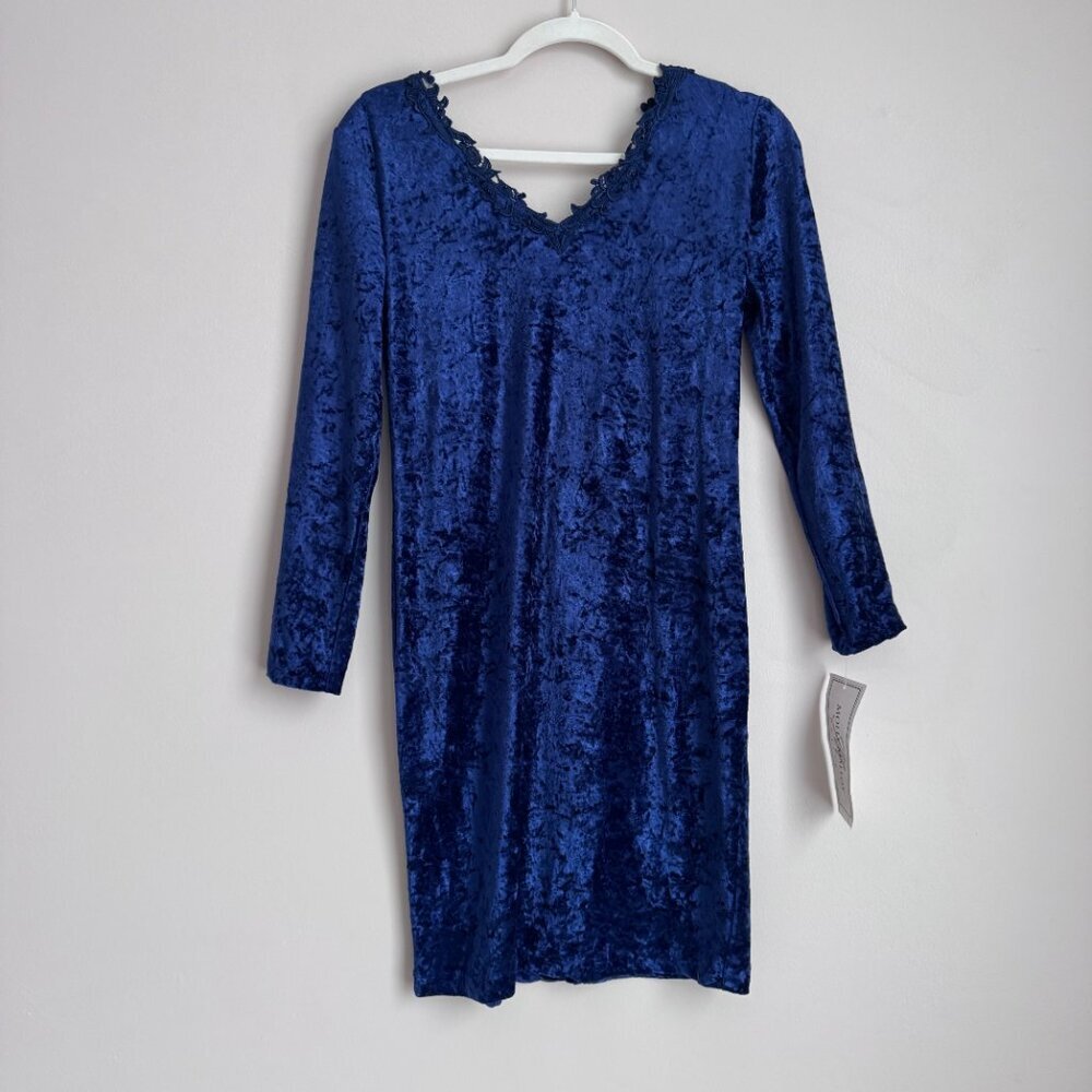 Molly Malloy Lace Crushed‎ Velvet Dress Vintage 8 embroidery Fairy burnout lace